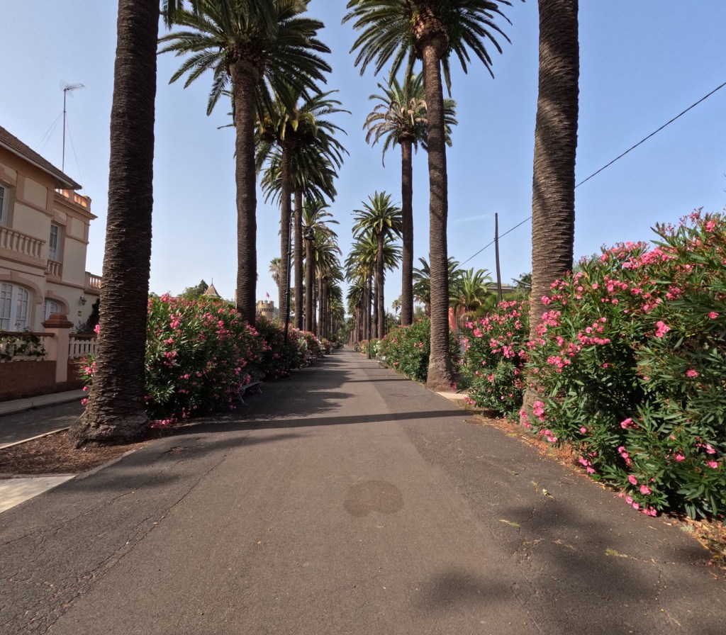 Camino Largo – A Stroll Through History in La Laguna